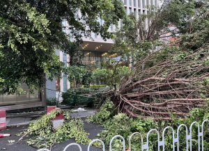 台风“普拉桑”+强冷空气联手！江苏未来三天多地有大暴雨+7-9级阵风