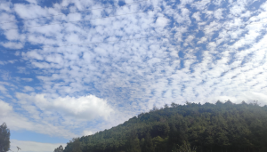 湖北周末雨停天气转晴，但需注意北风强劲最大风力将达7-9级