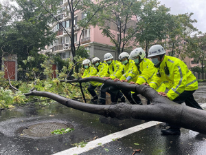 江浙沪台风蓝色预警持续生效中，江苏安徽局地有大暴雨