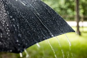 云南文山州今天中雨普遍局地有大雨，明天多地雨势增强局地有大雨