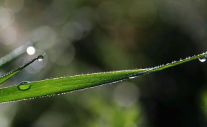 内蒙古受冷空气影响通辽赤峰等局地大雨，多地普遍降温4-6℃