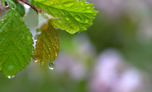 华南西南近期强降雨频繁需警惕次生灾害，警惕福建云南局地还有暴雨