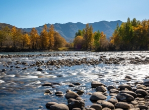 阿勒泰有什么景点？阿勒泰十大景点介绍