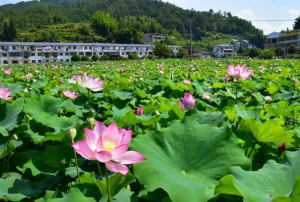 江西今晚大部多云转晴，明后天阳光大方露面气温稳步回升