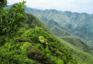 阳明山怎么玩？阳明山一日游详细攻略