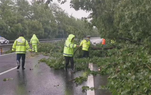 湖北今天多地小到中雨明显局地有大雨，明天开始雨水退场后天转晴