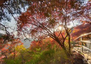 河北今明两天大部多云间晴为主，承德张家口等地有雨夹雪或小雨