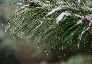 新一轮冷空气来袭！东北华北局地雨雪强势 江南阴雨频繁